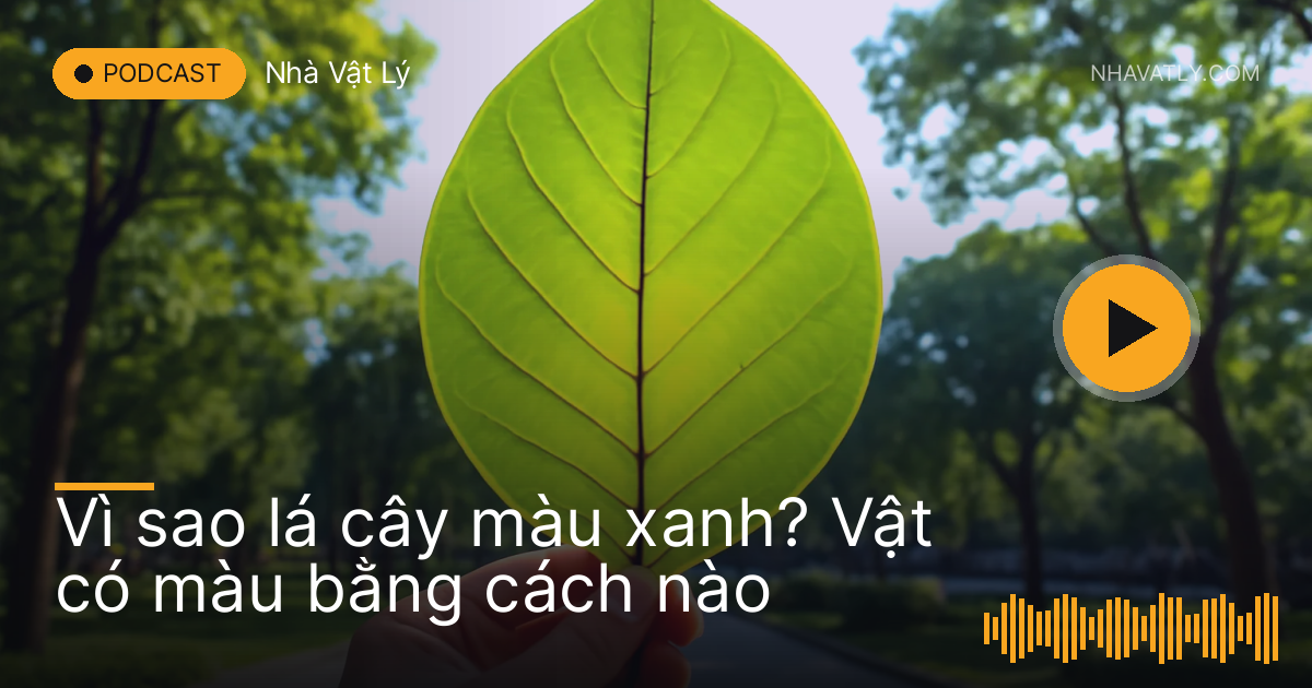 Bàn tay nâng chiếc lá bàng xanh xuyên nắng trong công viên